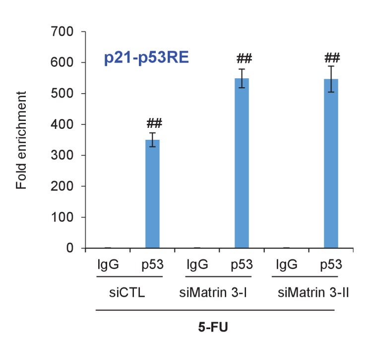 Figure 6—figure supplement 2.