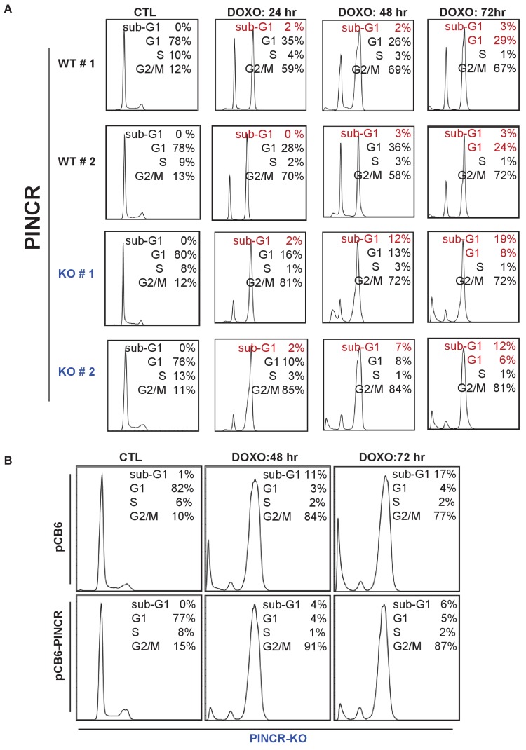 Figure 2—figure supplement 3.