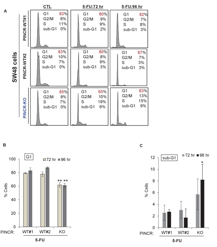 Figure 3—figure supplement 3.