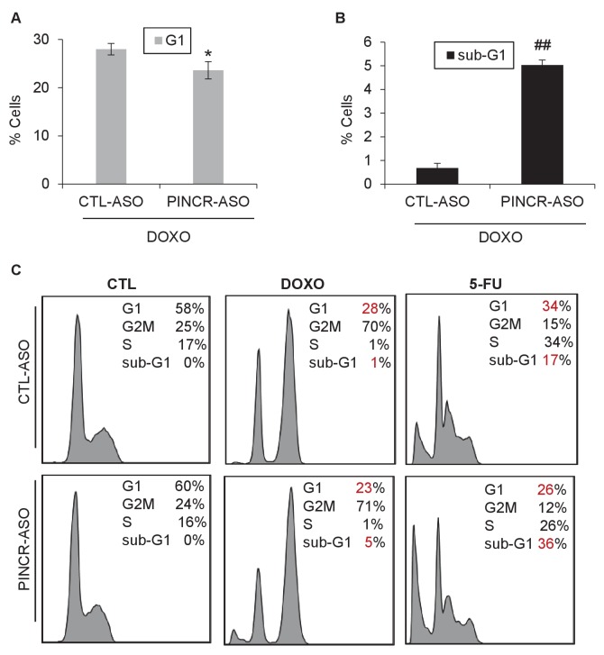 Figure 4—figure supplement 5.