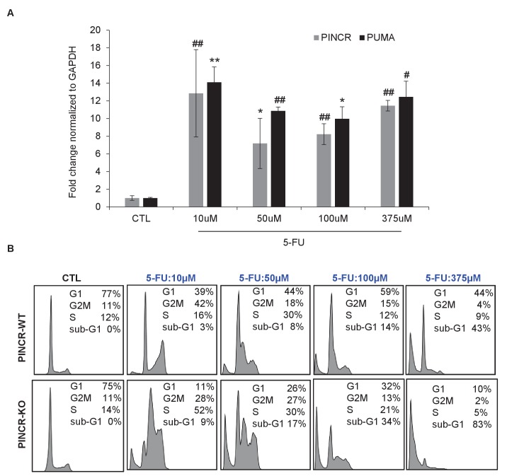 Figure 3—figure supplement 5.