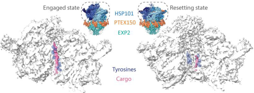 Figure 2 |