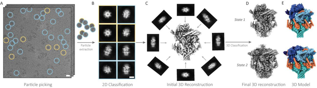 Figure 3 |