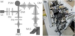 Fig. 1