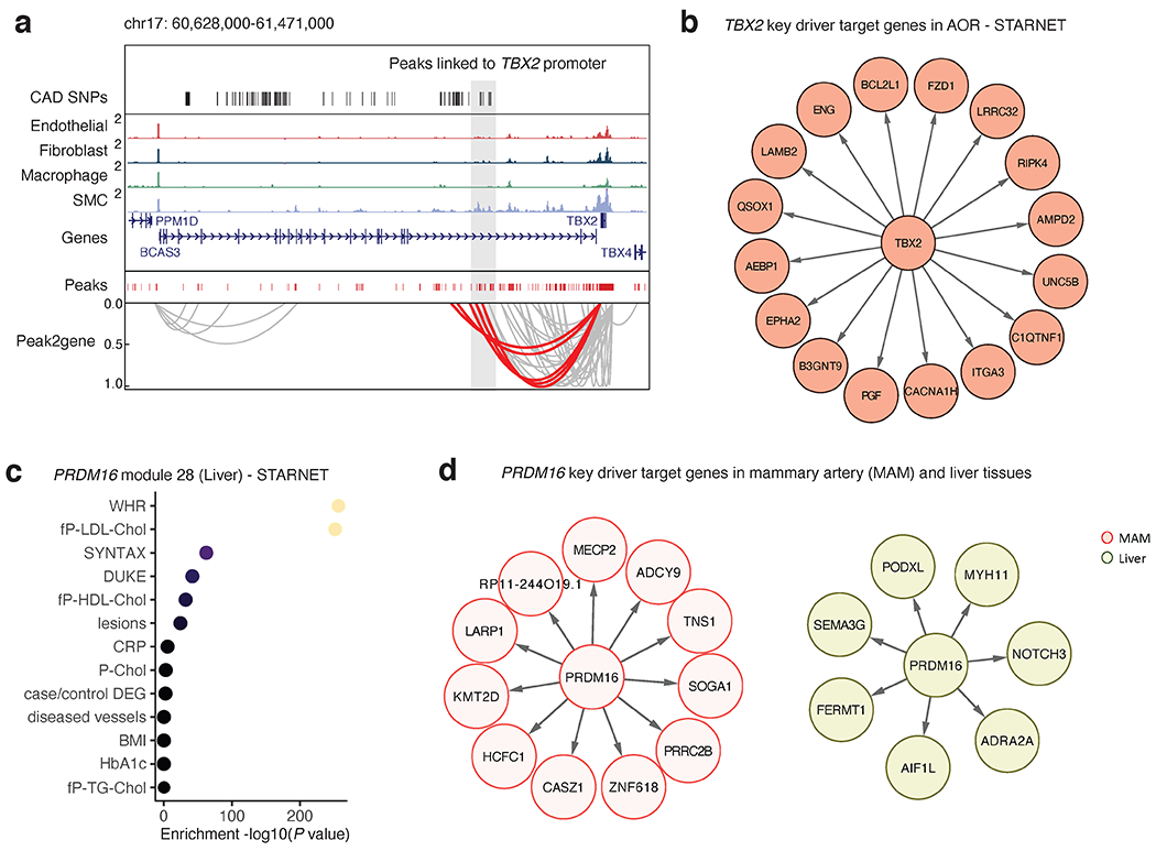 Extended Data Fig. 8