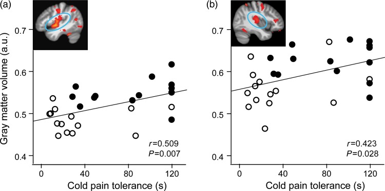 Figure 2.