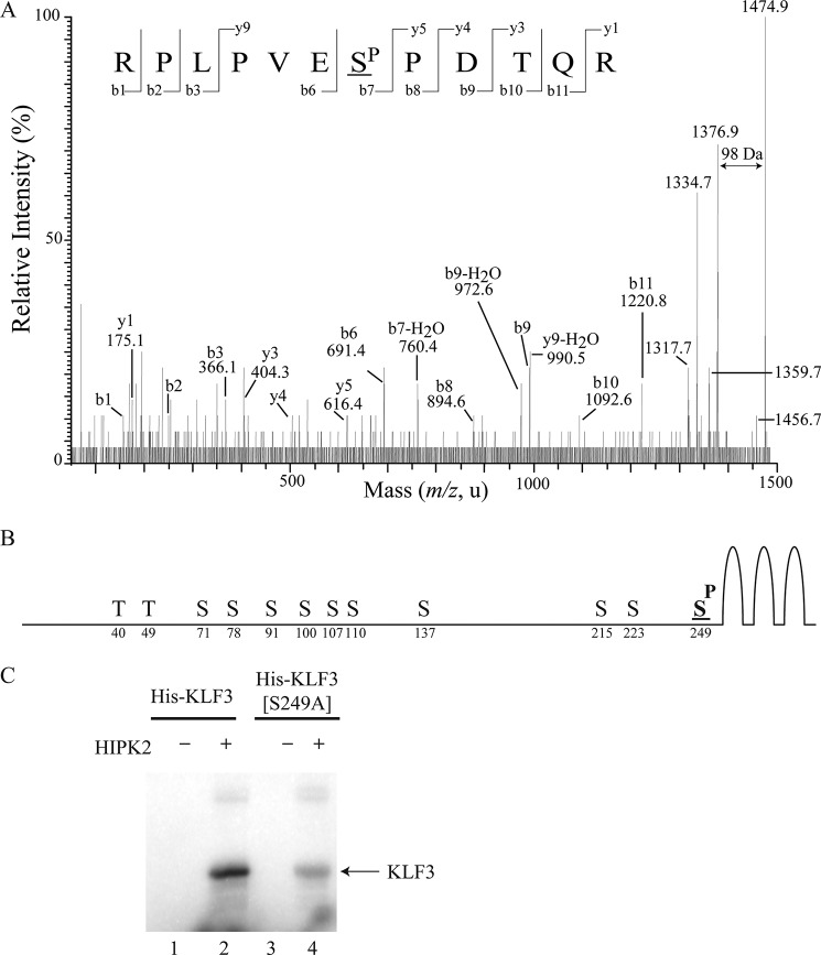 FIGURE 4.