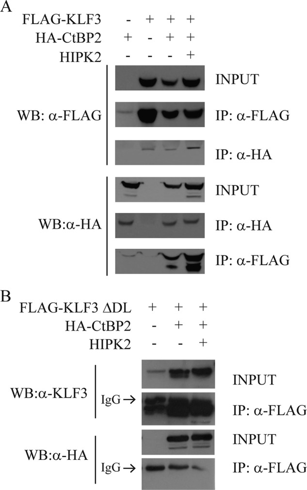 FIGURE 9.