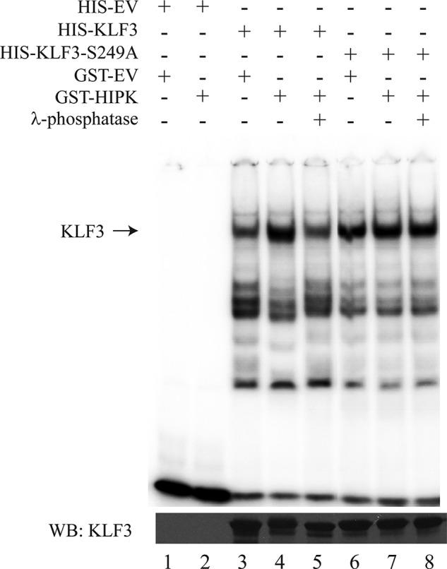 FIGURE 11.