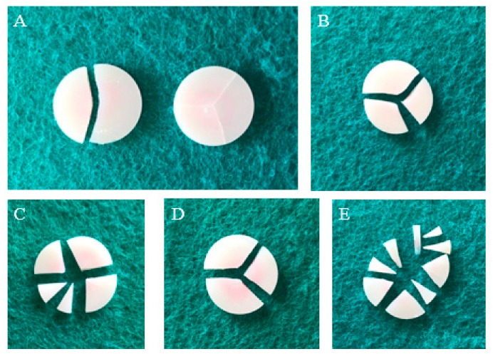 Figure 10