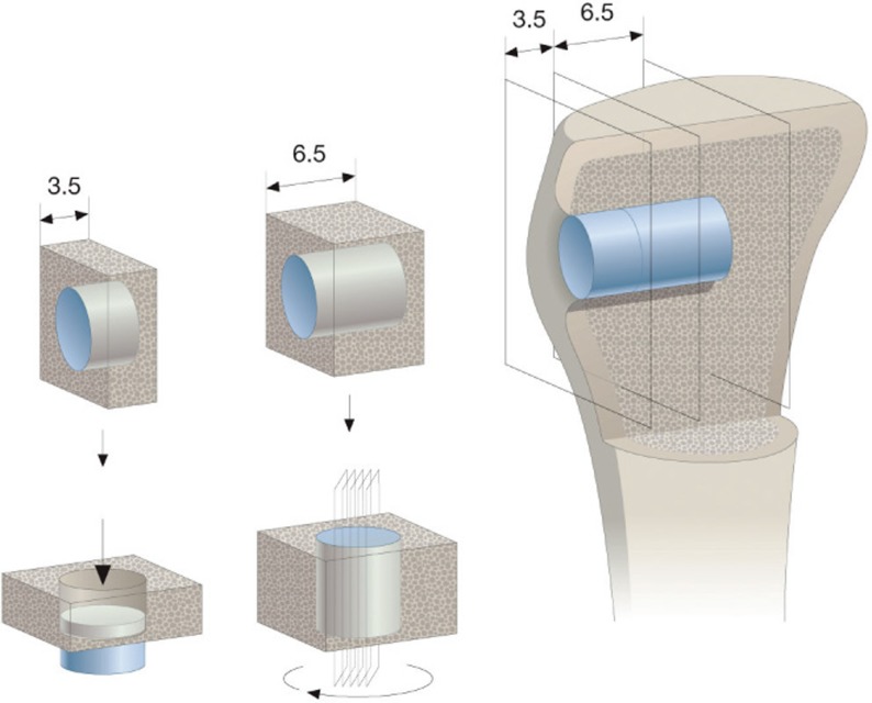 Figure 1.