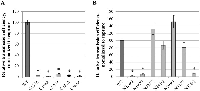 Fig 6