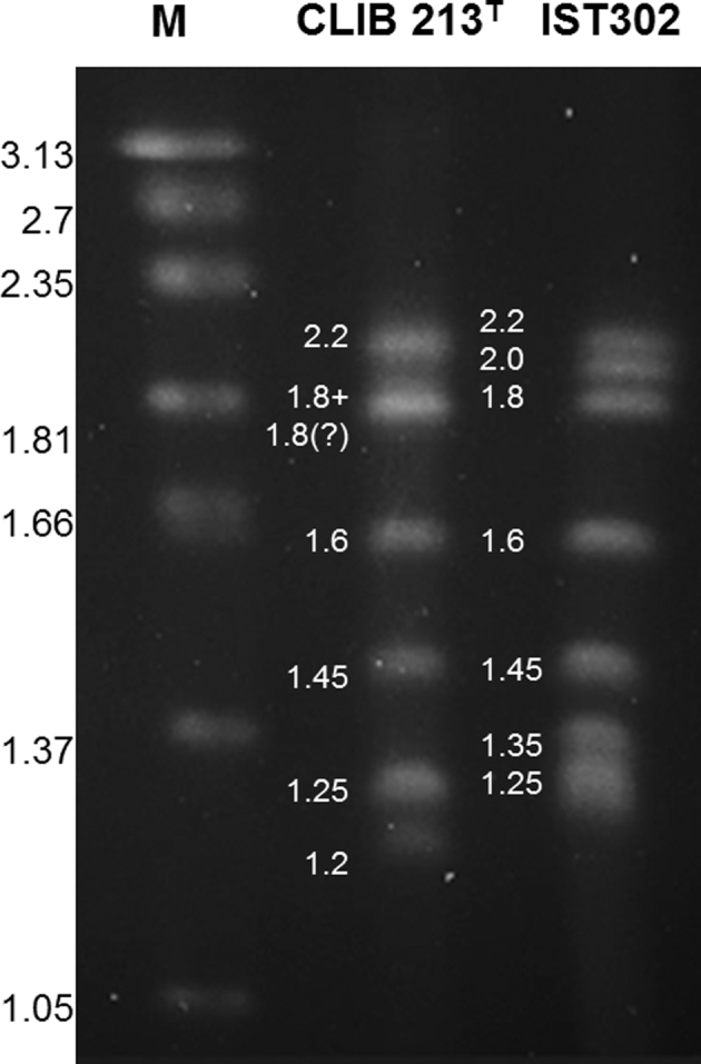 Figure 3.