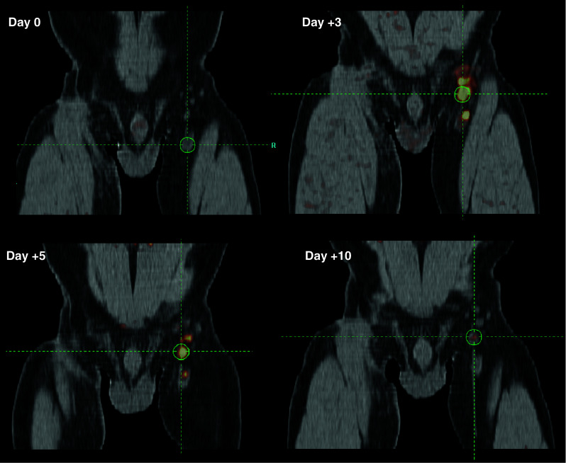 Fig. 3