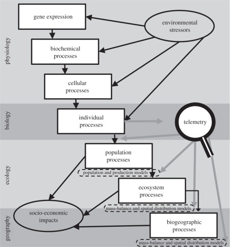 Figure 1.