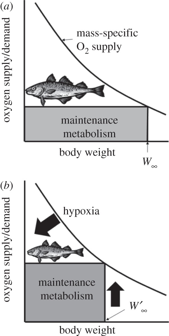 Figure 2.