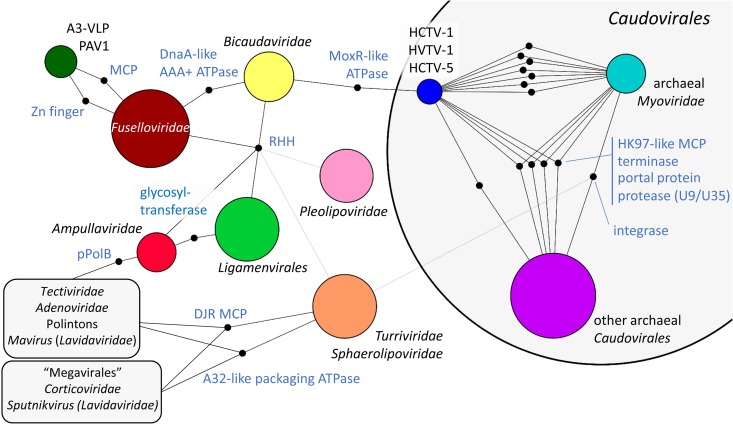 FIG 3