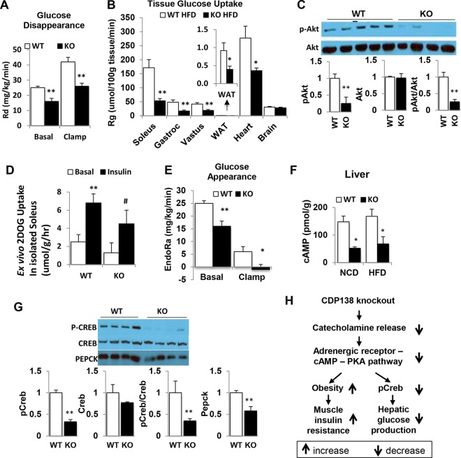 FIG 10