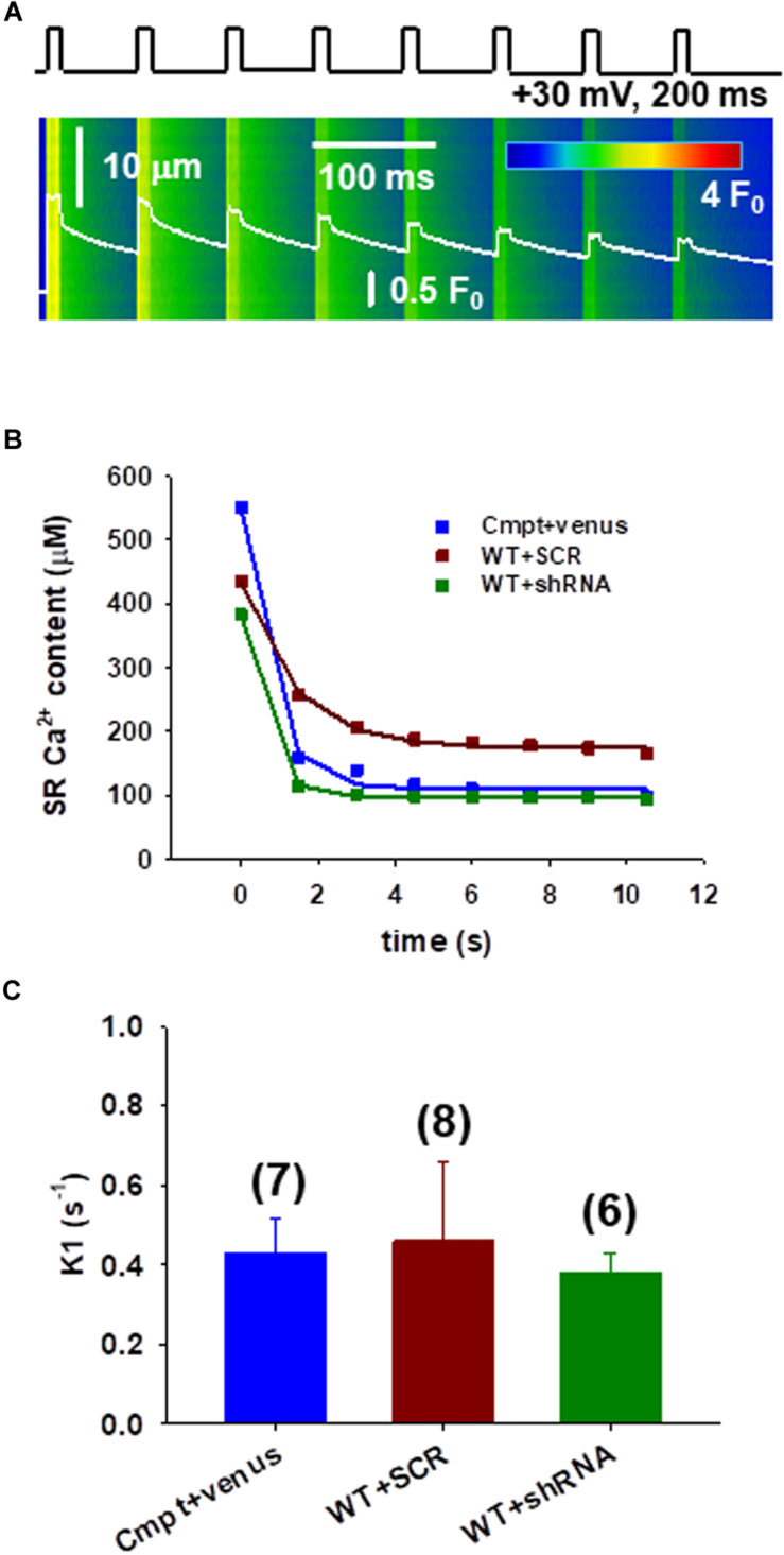 FIGURE 3