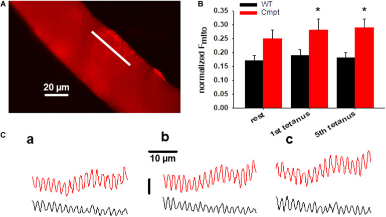 FIGURE 4