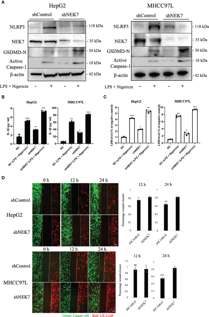 Figure 4