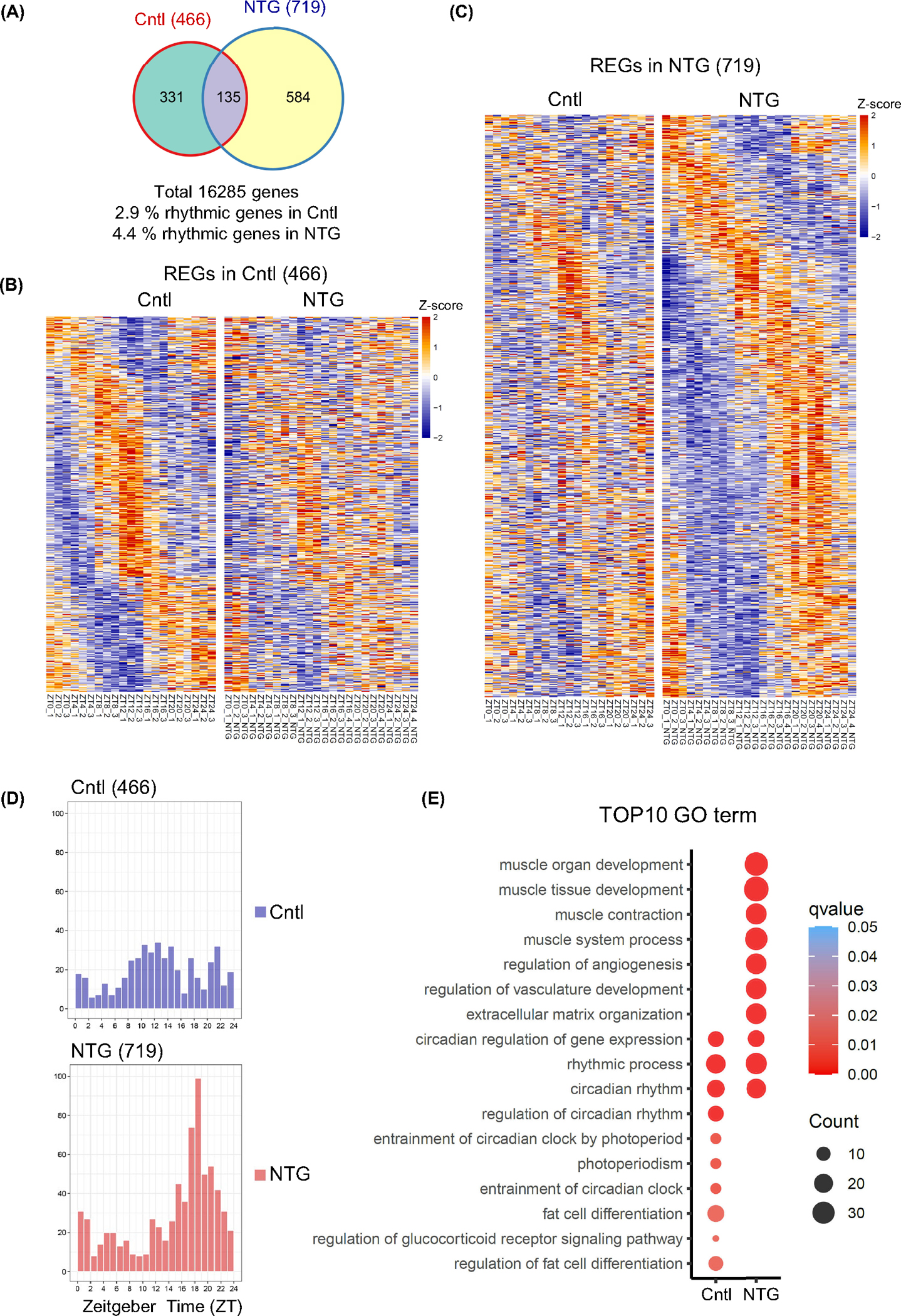 FIGURE 3