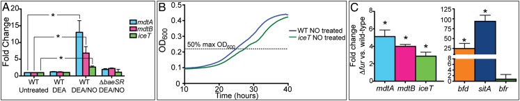 Fig. 3.