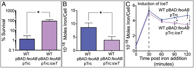 Fig. 4.