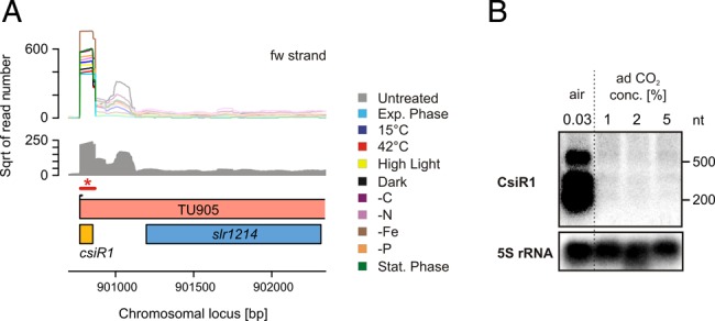 Figure 6.