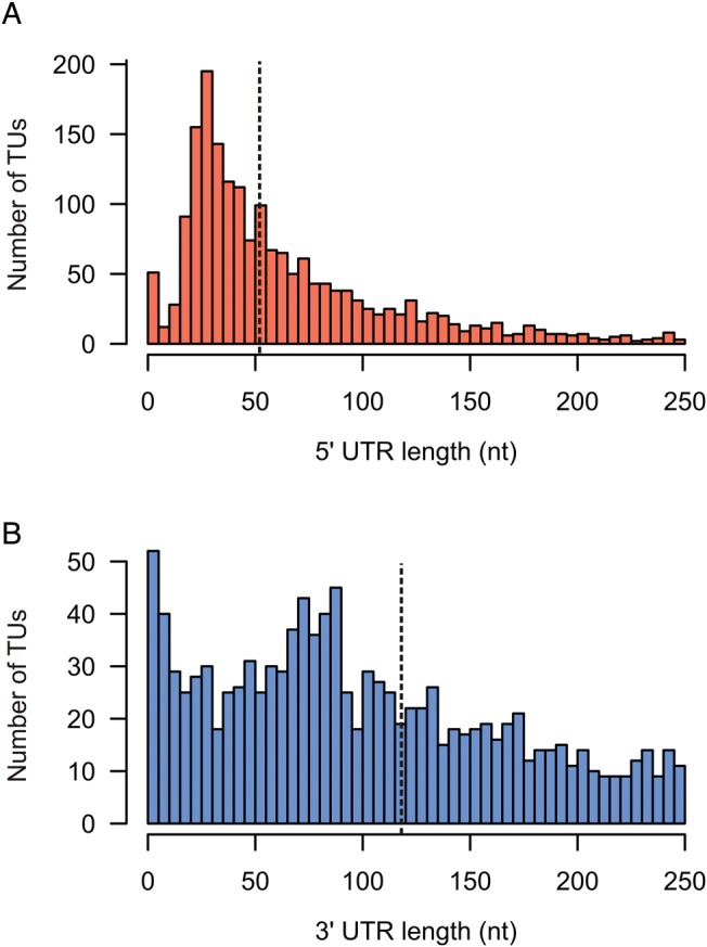 Figure 7.