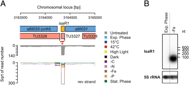 Figure 4.