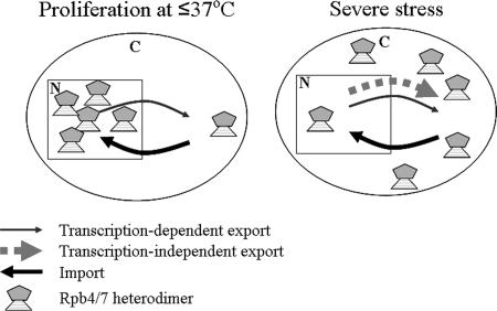 FIG. 8.