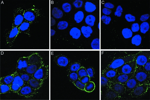 FIG. 7.