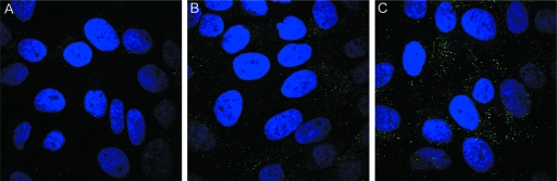 FIG. 6.