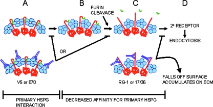 FIG. 8.