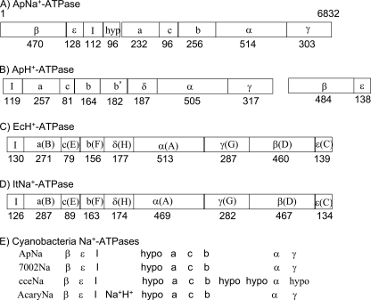 FIGURE 1.