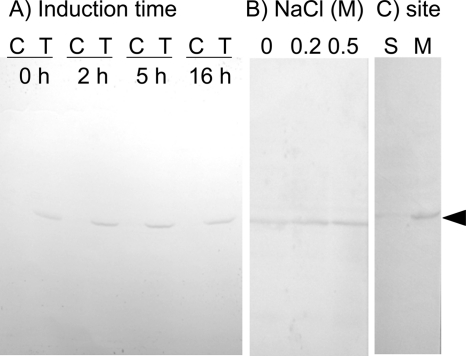 FIGURE 3.