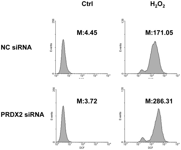 Figure 6.