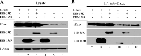 FIG. 8.