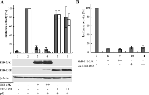 FIG. 7.