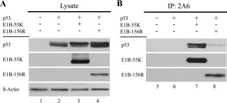 FIG. 5.