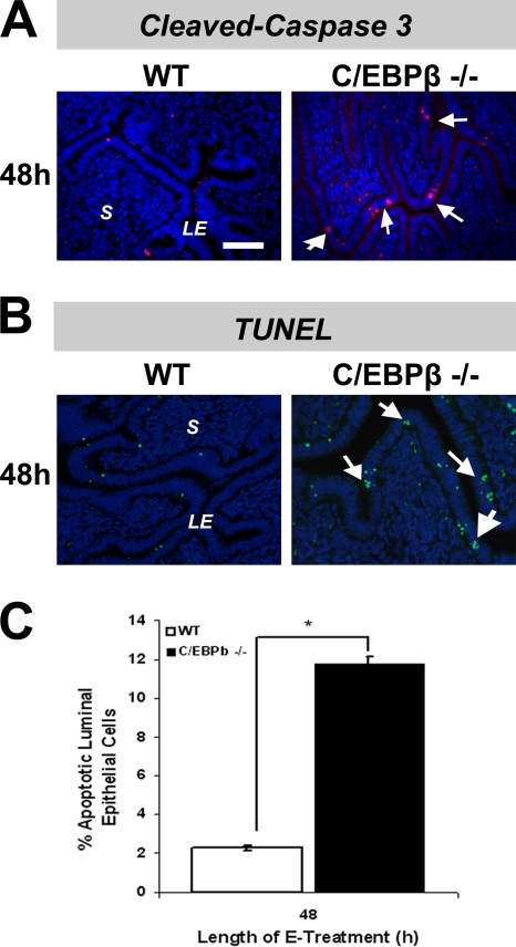 FIG. 9.