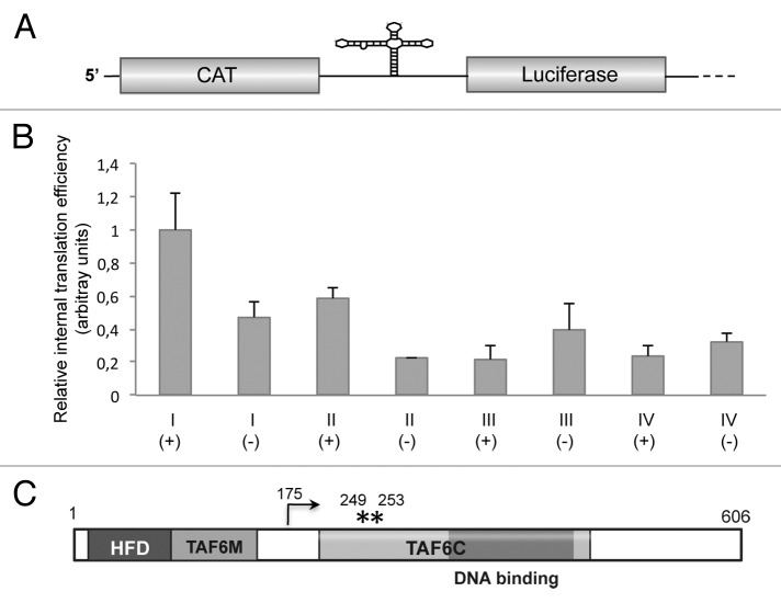 graphic file with name rna-10-1842-g5.jpg