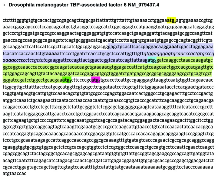 graphic file with name rna-10-1842-g3.jpg