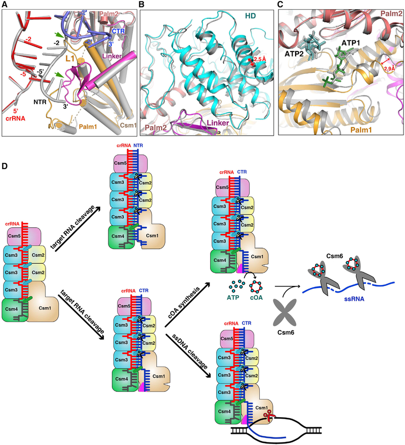 Figure 7.