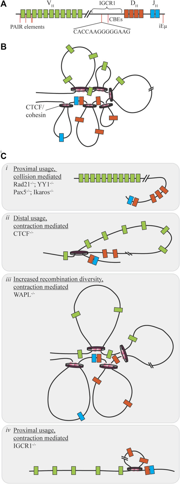 FIGURE 3