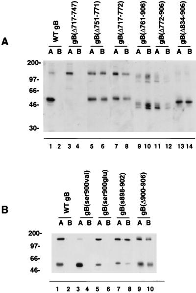 FIG. 8