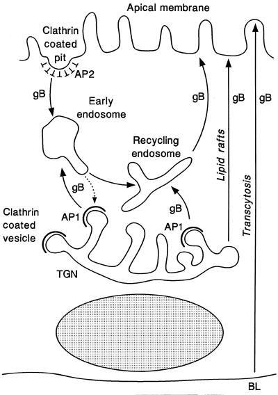 FIG. 10