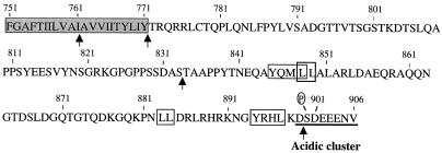 FIG. 5