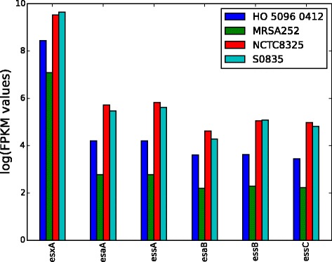 Fig. 4